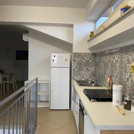 Le Conchiglie Di Venere - Aura